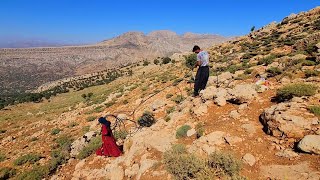 Documentary about water supply from springs and installation of pipes for water transfer by husband