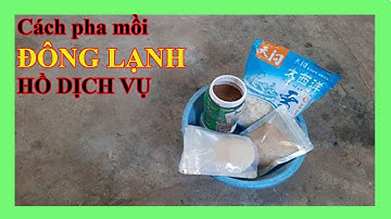 Câu Đài MIền Bắc | Cách Pha Mồi Đông Lạnh Câu Hồ Dịch Vụ