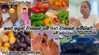 Download Lagu මේ අවුරුද්දෙත් අපි යන්න ලෑස්ති වෙනවා ♥️| Life in japan 🇯🇵🇱🇰 MP3 Download Lagu මේ අවුරුද්දෙත් අපි යන්න ලෑස්ති වෙනවා ♥️| Life in japan 🇯🇵🇱🇰 MP3
