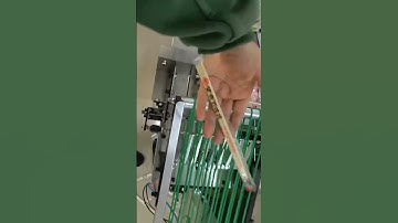 Automatic chopsticks packing machine
