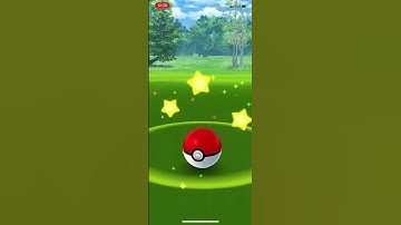 Shiny Tepig Caught From A Field Research Task I Pokemon Go