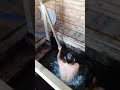 С СЫНОМ В КУПЕЛИ НИКОЛАЯ ЧУДОТВОРЦА