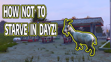 HOW NOT TO STARVE IN DAYZ! GOAT COOKING TUTORIAL #DayZ #lifehack