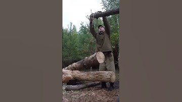 A log cabin built by one man moving heavy logs 12 #shorts