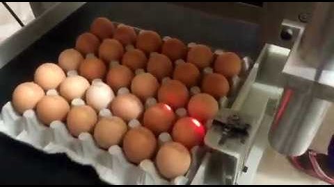 Videojet Egg Coding Solution