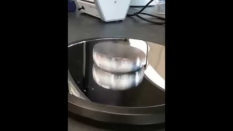 Science of the Euler Disc. Physics. Math. Black holes?