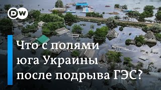 Трагедия на Каховской ГЭС: вода ударила по сельскому хозяйству Украины