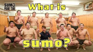 Let’s learn the basics of sumo!!
