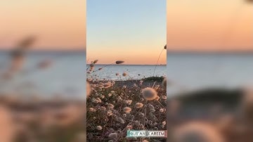 سورة الفاتحه بصوت القارئ اسلام صبحي|surah Al-Fatiha islam subhi