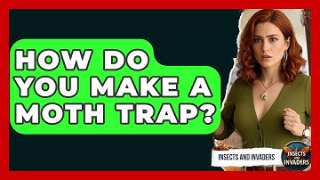 How Do You Make A Moth Trap? - Insects and Invaders