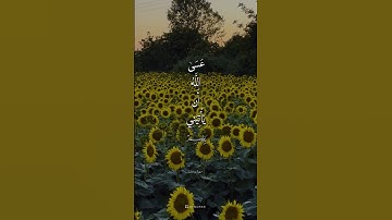 سبحان من جعل الراحه في صوته♥️⁣ تلاوة في غاية الجمال #اكسبلور