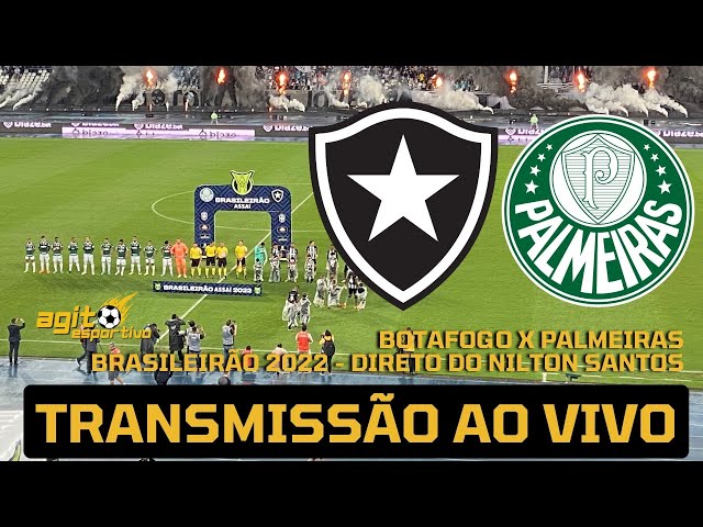 Botafogo x Palmeiras ao vivo: onde assistir ao jogo do Brasileirão online