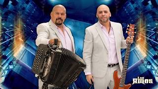 Video thumbnail of "Los Amos - Pendejo Enamorado (Video Lyric)"