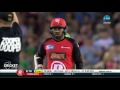 Highlights: Renegades v Stars - BBL06