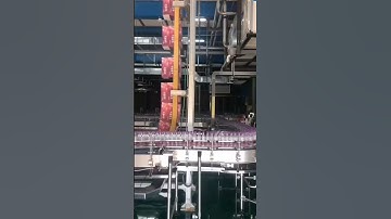 Bottle water conveyor system, case conveyor system #waterbottlingplant #bottleconveyor