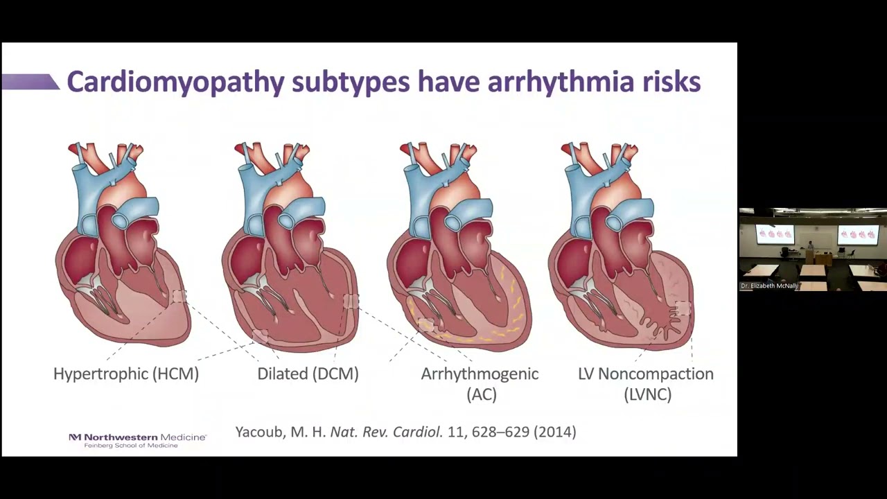 Cardiovascular Genetics from Diagnosis to Therapy