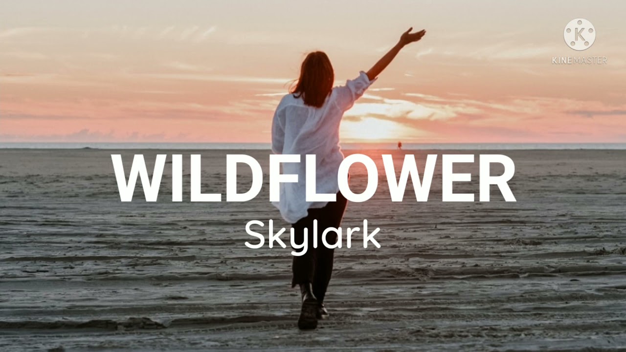 SkylarkWildflower (Lyrics) YouTube