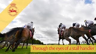 Through the eyes of a stall handler #QGF