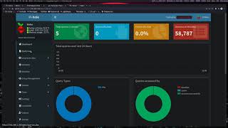 Using PiHole as a DNS Sink | Linux Guide