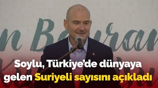 Süleyman Soylu, Türkiye'de dünyaya gelen Suriyeli sayısını açıkladı: O sözleri gündeme oturdu