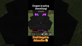 Minecraft dragon head logic 🙀.      #minecraft #gaming #shorts #dragon #head #logic