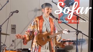 Marley Wildthing - Flow Wild | Sofar Linz