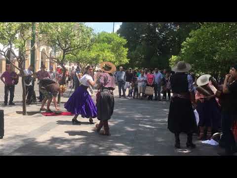 Sarta - Argentina - dança típica em 01/2020