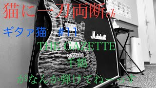 ギタァ猫 #11 【THE GAZETTE】 【千鶴】がなんか弾けてねーっす