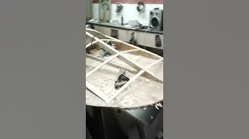 Hasty Hydro Plane Build