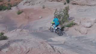 Wipeout Hill  Bob n Rob  Cut 1 screenshot 4