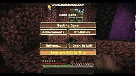 Minecraft-Duplication Glitch