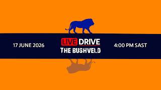 LIVE Drive: The Bushveld | 17 June 2026