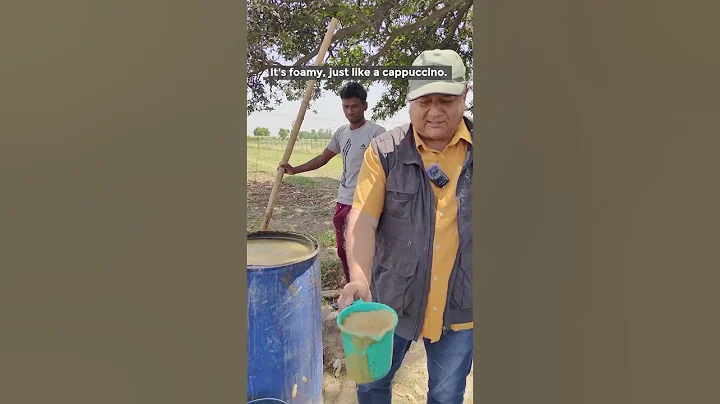 Jeevamrit: Natural Liquid Fertilizer!