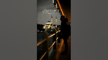سورة الأنعام - ياسر الدوسري ..