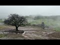 The हरिश्चंद्रगड | भटक्यांची पंढरी | Vlog and amazing view | Exploring the beauty of nature⛰️🍃🌳