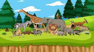 Wild Animals | Preschool Educational and Learning Videos for Toddlers and Kids | Vocabulary