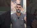 LA IMPORTANCIA DE LA DESPARASITACIÓN INTERNA PARA EVITAR ZOONOSIS