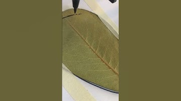 Nature 2023 by @reubenlauridsen with iDraw #penplotter