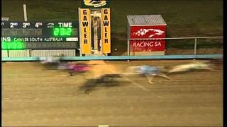 Gawler 07062015 Race 1