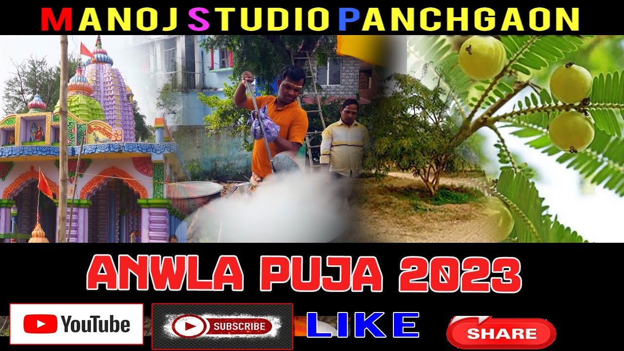 ANWLA PUJA  2023//amla puja vidhi //amla navami puja vidhi odia //Manoj studio panchgaon