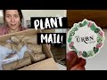 Houseplant Mail Unboxing! | The URBN Root Plant Unboxing!