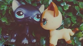 LPS: Между огнем и водой (1 сезон 6 серия)
