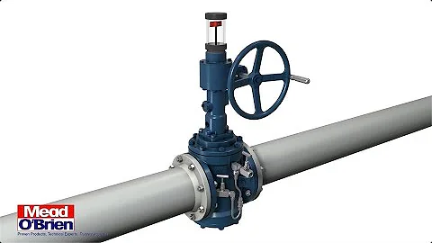 The OmniSeal Double Block & Bleed Expanding Plug Valve