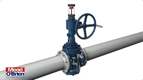 The OmniSeal Double Block & Bleed Expanding Plug Valve