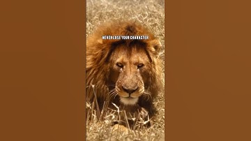 “Character and ethics aren’t for sale. Protect them at all costs.” || Motivational #shorts