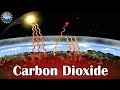 Carbon Dioxide And Global Warming - How Do We Know?