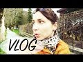 VLOG: ВЫХОДНЫЕ В АЛЬПАХ. Часть 2. - Ollysadvice