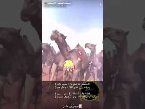 ٧ مارس ٢٠١٩