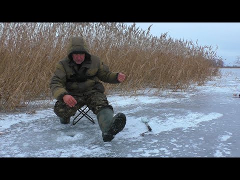 Видео: Зимняя рыбалка 9 декабря 2023! и поездка в лес за дровами с пилой 