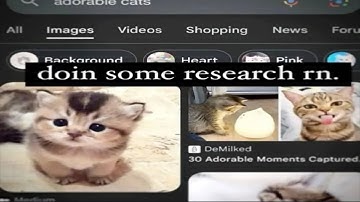 running ultrakill everyday til i can